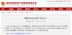 这175家都是假央企！持续高压态势，假冒